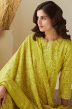 Gauhar Rabiya Sanganeri Kurta - Image 6